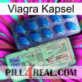 Viagra Capsule new02